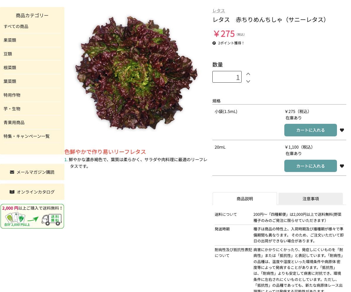 赤ちりめんちしゃ（サニーレタス）