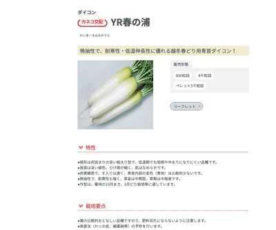 YR春の浦の画像