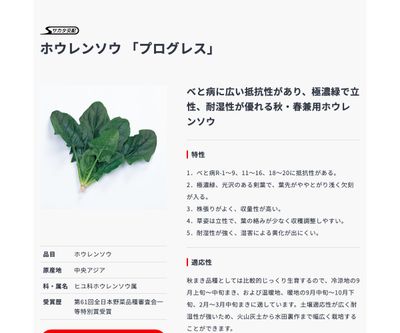 プログレスの画像