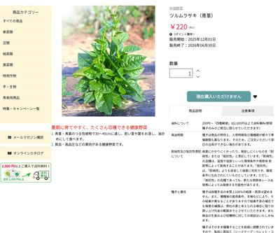 ツルムラサキ（青茎）の画像