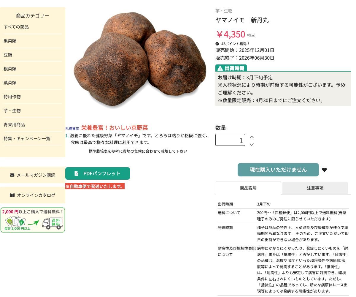 ヤマノイモ 新丹丸