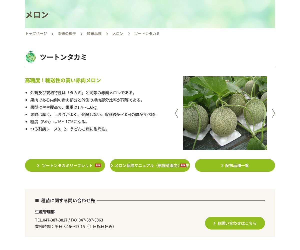 ツートンタカミ