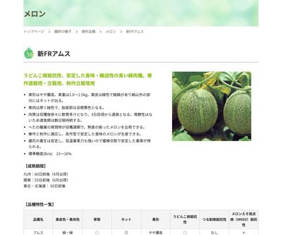 新FRアムスの画像