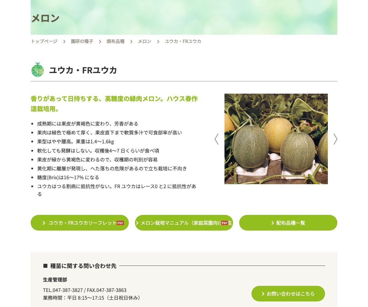 ユウカ・FRユウカ