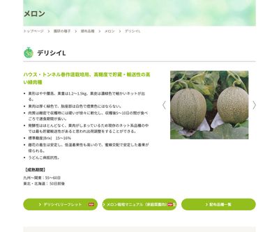 デリシイLの画像