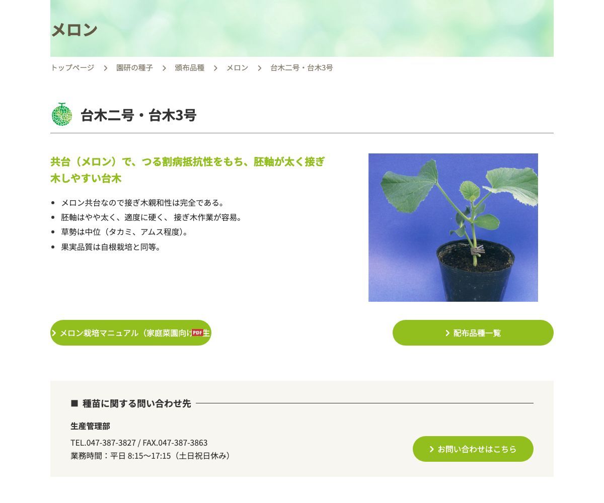 台木二号・台木3号