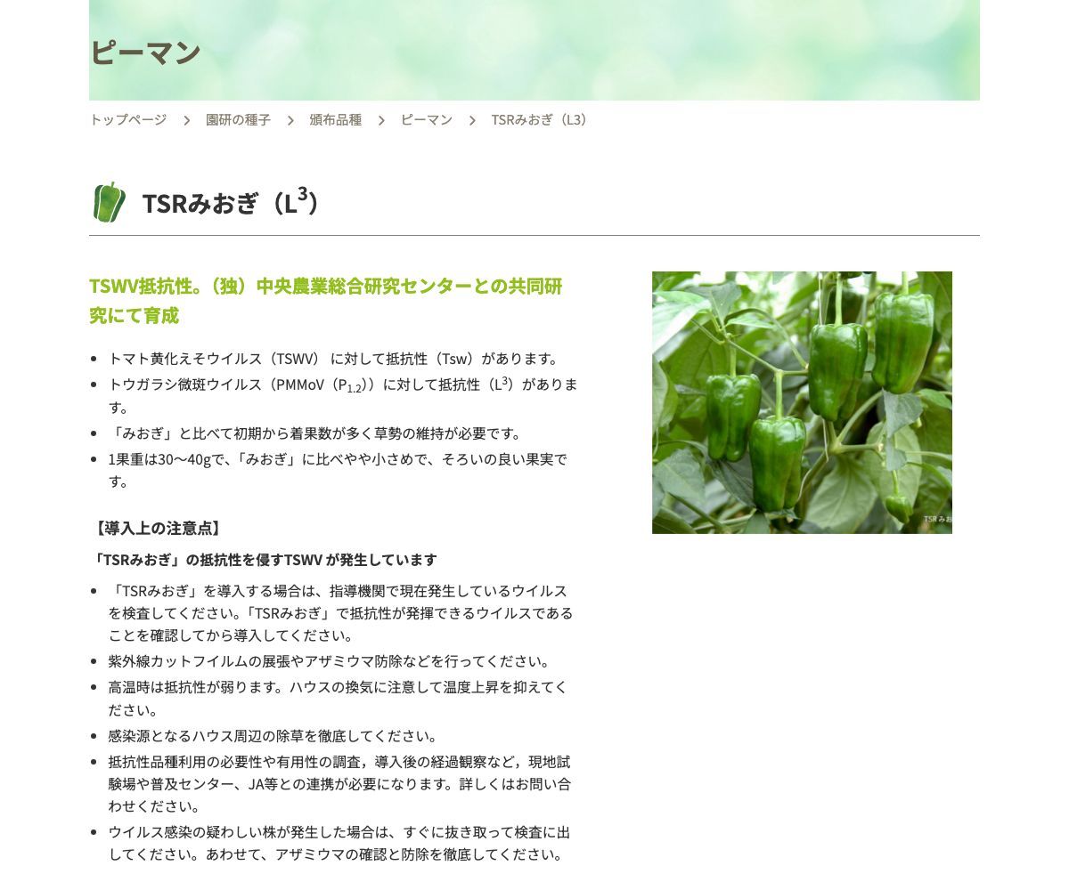 TSRみおぎ（L3）