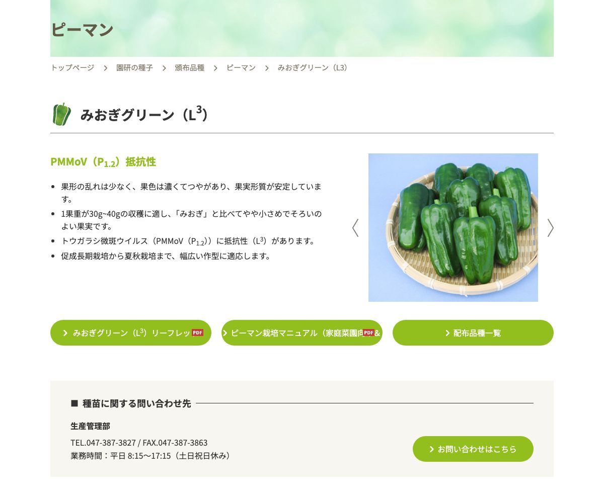 みおぎグリーン（L3）