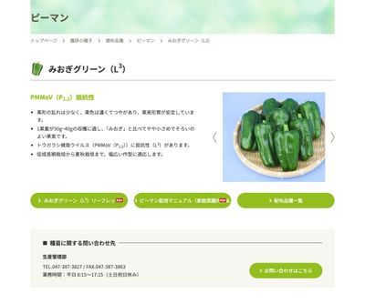 みおぎグリーン（L3）の画像