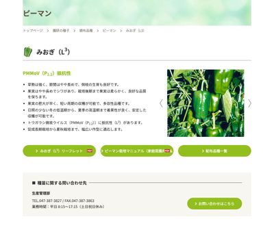 みおぎ（L3）の画像