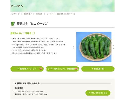 園研甘長［ミニピーマン］の画像