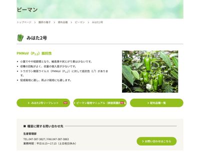 みはた2号の画像