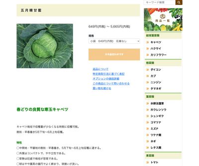 五月晴甘藍の画像