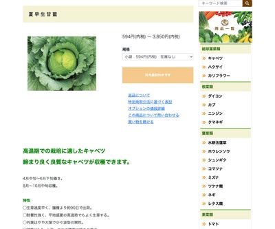 夏早生甘藍の画像
