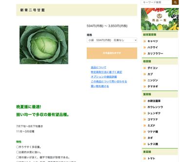 新青二号甘藍の画像