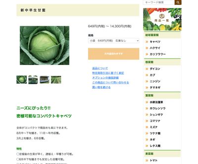 新中早生甘藍の画像