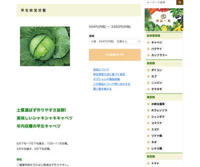 早生秋宝甘藍の画像