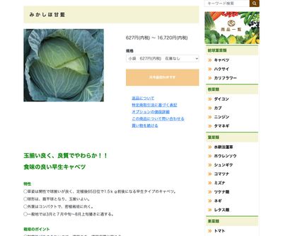 みかしほ甘藍の画像