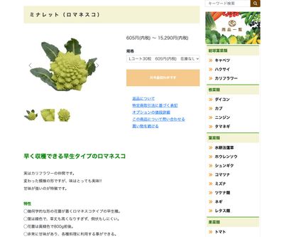 ミナレットの画像