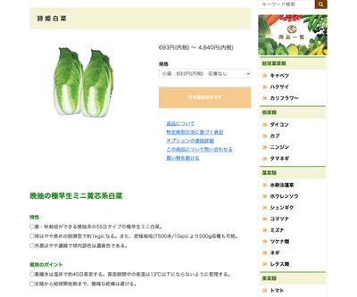 詩姫白菜の画像