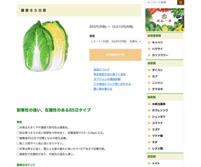 健黄８５白菜の画像