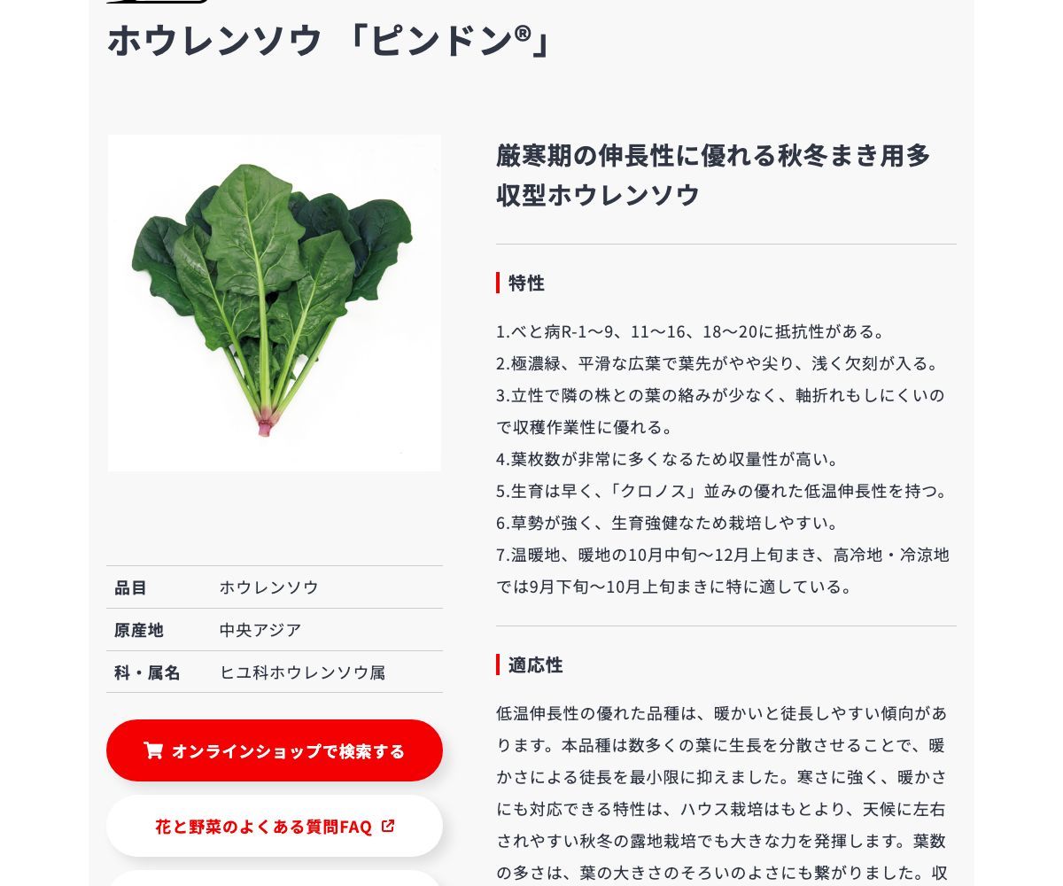 ピンドン®