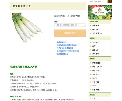 宮重総太り大根の画像