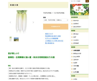 秋健大根の画像