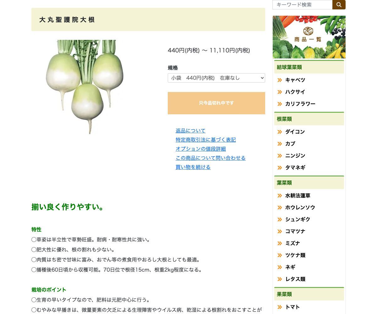 大丸聖護院大根