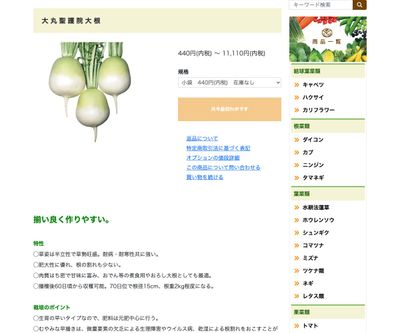大丸聖護院大根の画像