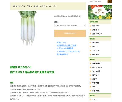 根がマジメ「夏」大根（SR-1015）の画像