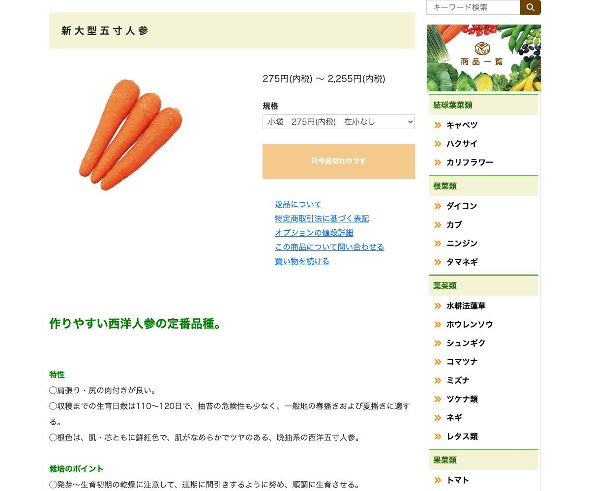 新大型五寸人参