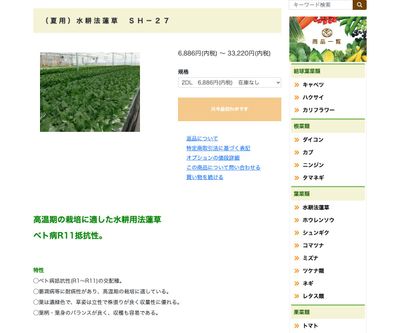 水耕法蓮草 ＳＨ－２７の画像