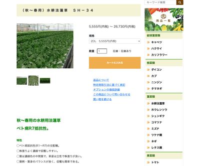 水耕法蓮草 ＳＨ－３４の画像