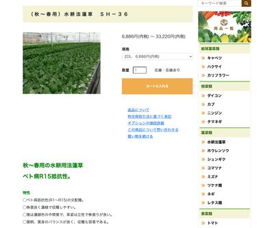 水耕法蓮草 ＳＨ－３６の画像