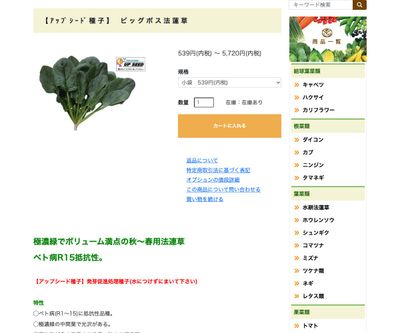 ビッグボス法蓮草の画像