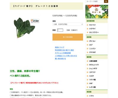 グレード１２法蓮草の画像