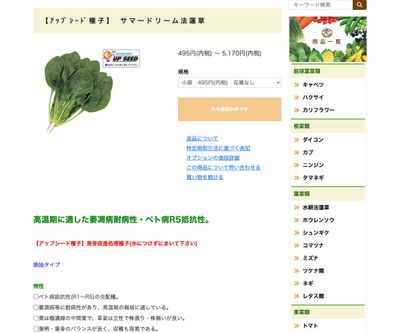 サマードリーム法蓮草の画像