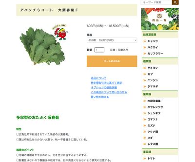 大葉春菊Ｆの画像