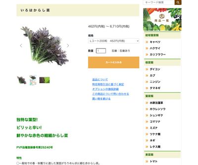 いろはからし菜の画像