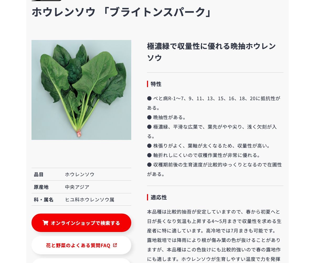 ブライトンスパーク