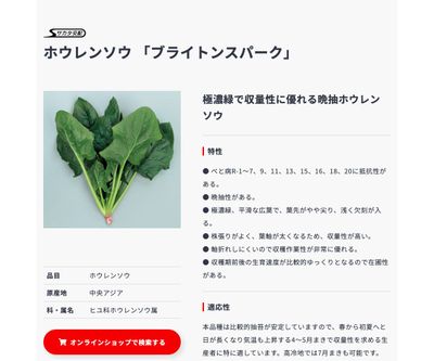 ブライトンスパークの画像