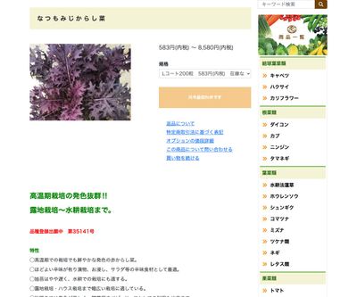 なつもみじからし菜の画像