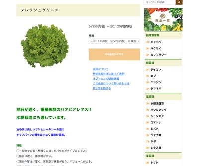 フレッシュグリーンの画像
