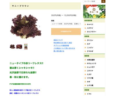 サニーブラウンの画像