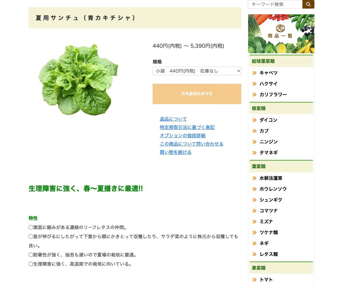 夏用サンチュ（青カキチシャ）