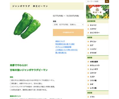 ジャンボサラダ 神王ピーマンの画像