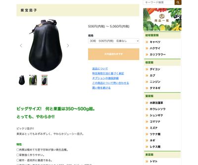 紫宝茄子の画像