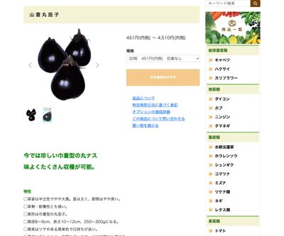 山豊丸茄子の画像