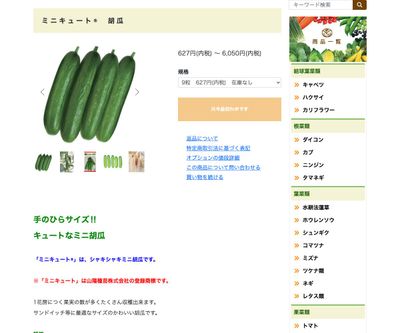 ミニキュート® 胡瓜の画像